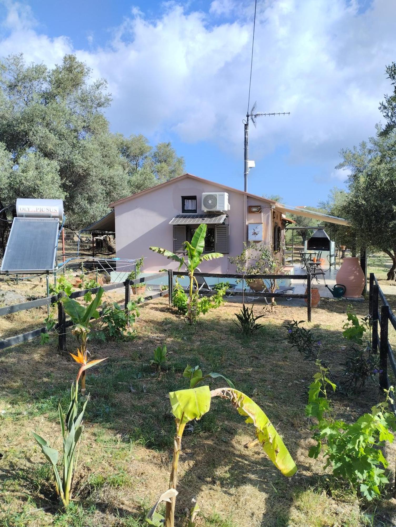 Olea Cottage Galatas  Ngoại thất bức ảnh